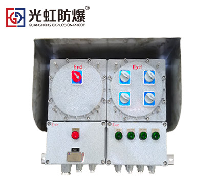 CT4/CT6防爆照明配電箱（戶外壁掛式）